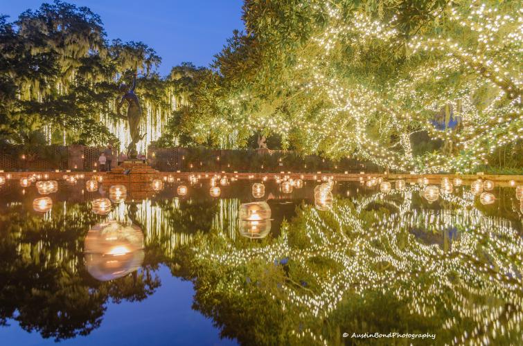 Nights of a Thousand Candles Brookgreen